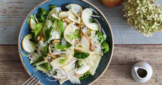 AppleSalad 613x323