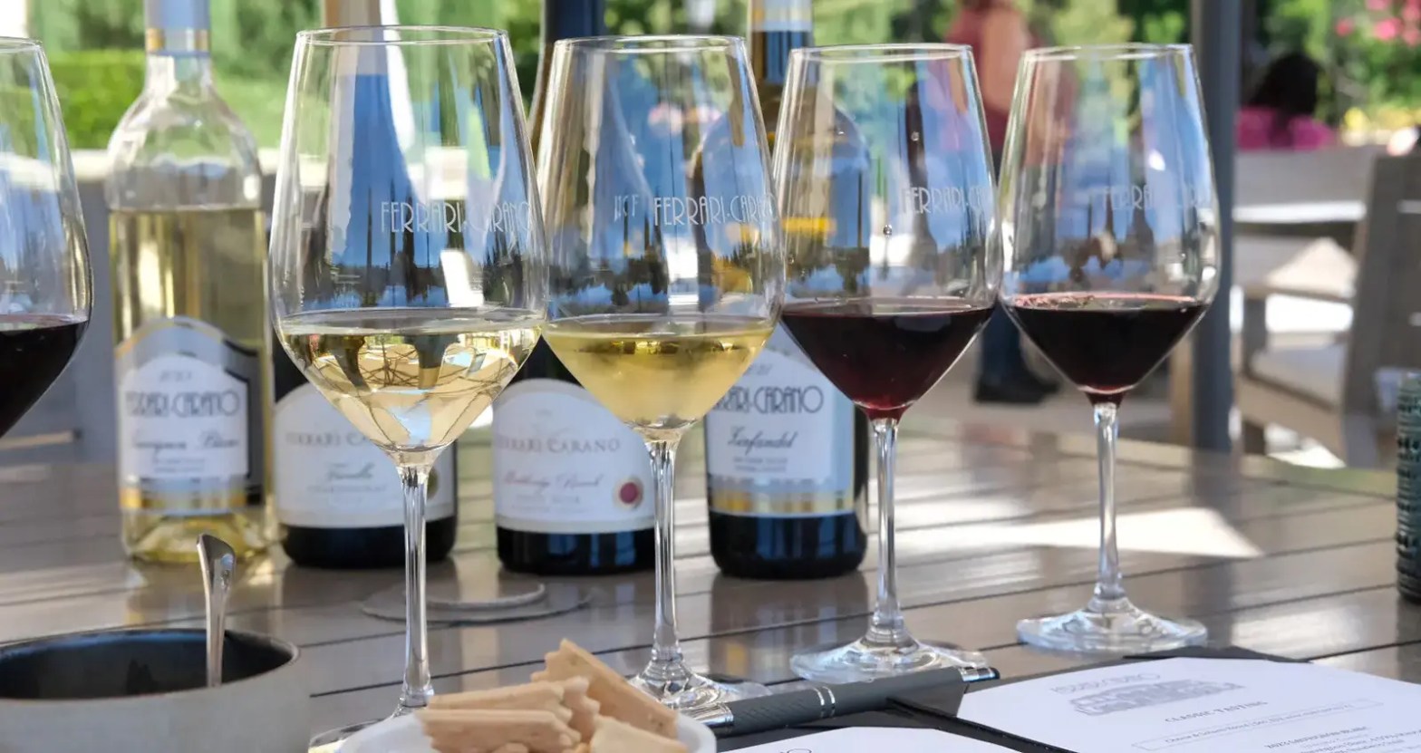 experience classic wine tasting